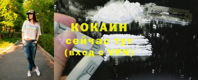 Cocaine Перу  Заводоуковск 